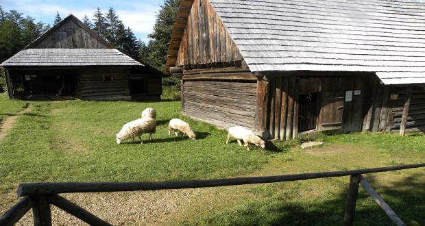 , Výstava hospodárskych zvierat pôvodných slovenských plemien v Skanzene Nová Bystrica &#8211; Vychylovka