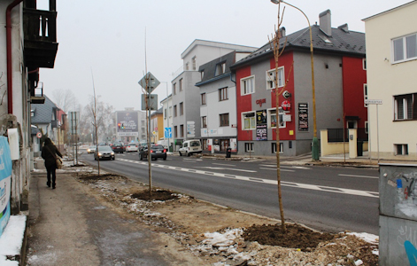 , Žilina sa bude zelenať: Na Veľkej okružnej ulici boli vysadené nové stromy