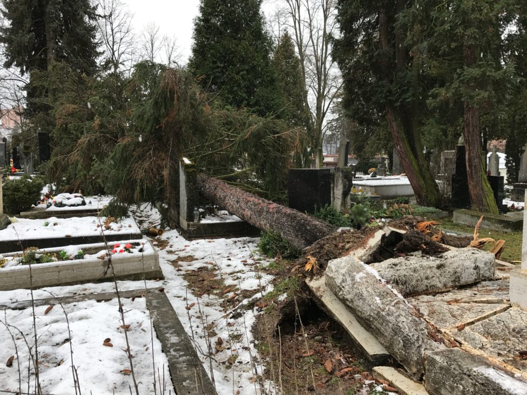 , Na Národnom cintoríne popadané stromy poškodili hroby národných dejateľov