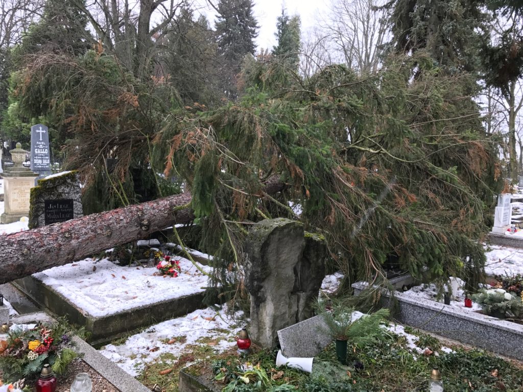 , Na Národnom cintoríne popadané stromy poškodili hroby národných dejateľov