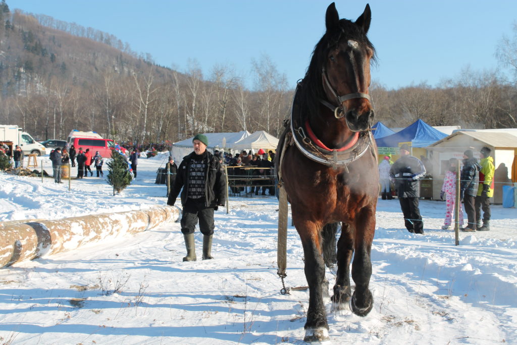 , Ani mrazivá zima nezabránila festivalu Kľačianska podkova