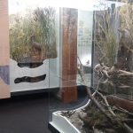 , Múzeum Andreja Kmeťa po dvoch rokoch konečne sprístupnené!