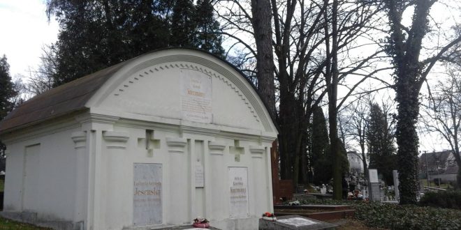, Na Národnom cintoríne v Martine vykonajú výrub rizikových drevín