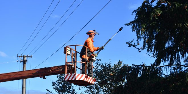 , Elektrikári pripomínajú majiteľom pozemkov, aby nezabudli orezať stromy pod vedením