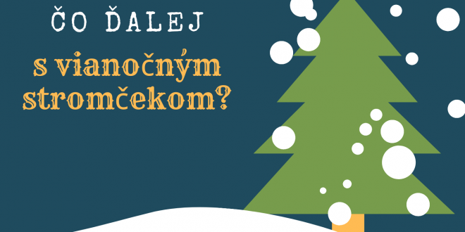 , Žilinská samospráva aj v tomto roku zabezpečuje odvoz vianočných stromčekov