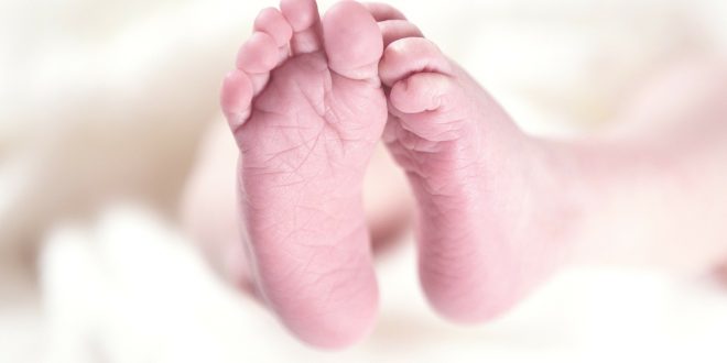 , Prvým novorodeniatkom narodeným v žilinskej nemocnici v roku 2020 je Julka