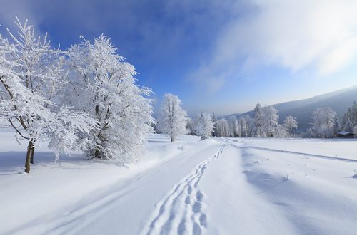 , Chata na víkend a lyžovačka v Tatrách vám zaistia ideálne podmienky na relax
