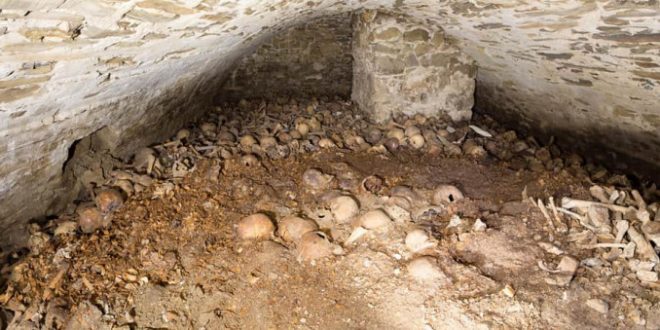 , Pri rekonštrukcii Katedrály Najsvätejšej Trojice v Žiline našli doteraz neobjavenú kryptu s kostrovými pozostatkami