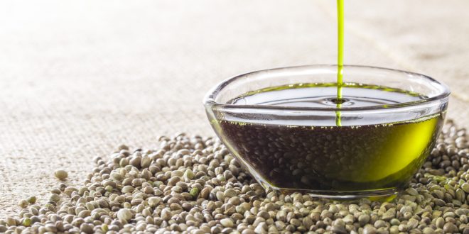 konopný olej, Keď príroda pomáha a lieči: Prostriedok na tlmenie bolesti