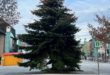 Mesto Martin Vianočný stromček
