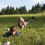 t&aacute;bor Srdcom Slov&aacute;k, Slovenčinu poznaj&uacute; z domu, Tatry z fotiek. Letn&yacute; t&aacute;bor Srdcom Slov&aacute;k vracia deti krajanov k ich koreňom